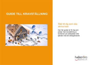 Guide för att lyckas bättre med kravställning.