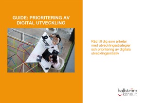 Guide prioritering vid digital utveckling